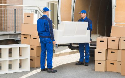 Experience a StressFree Relocation Journey With Local Movers Mars PA Support