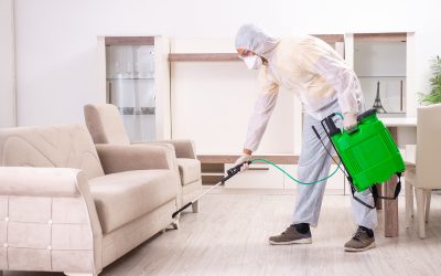 Keep your home safe from unwanted guests with pest control services Cedar Grove NJ locals trust
