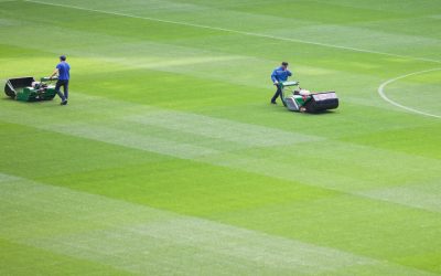 A Homeowner’s Guide to Bermuda Grass for Southern California Yards